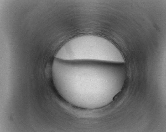 X0000114620036200910201011