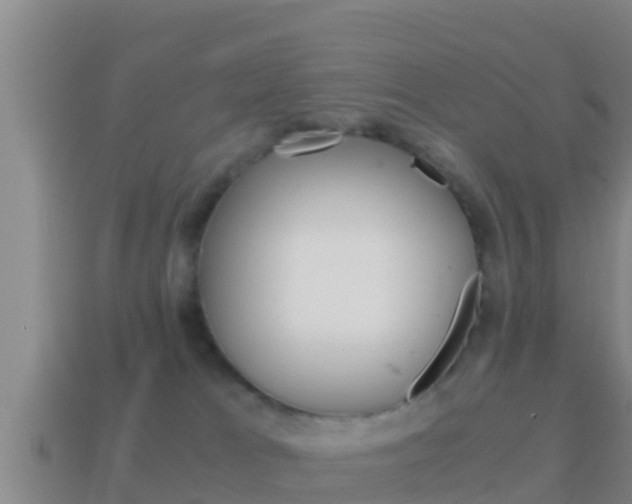 X0000114620037200910201011