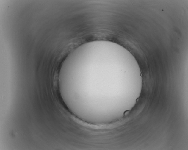 X0000114620038200910201011