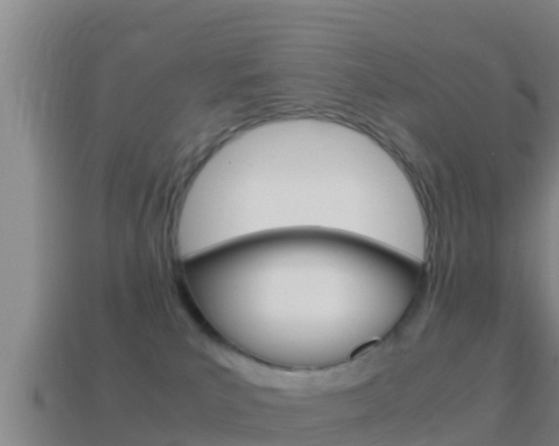 X0000114620039200910201011