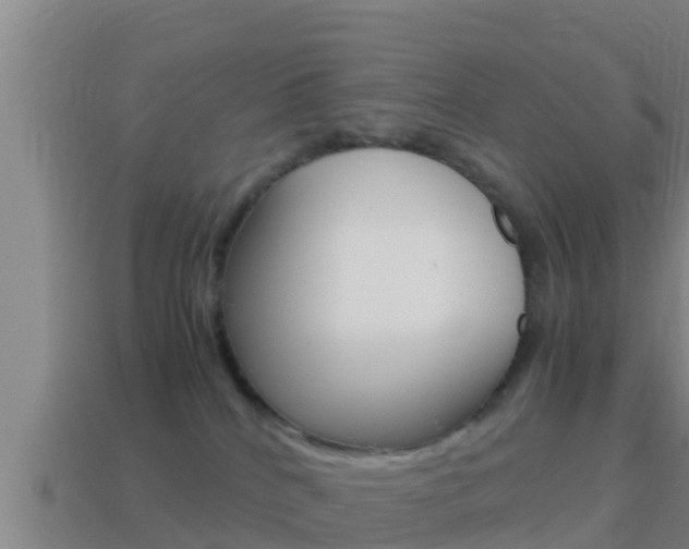 X0000114620040200910201011