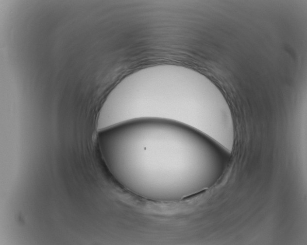 X0000114620041200910201011