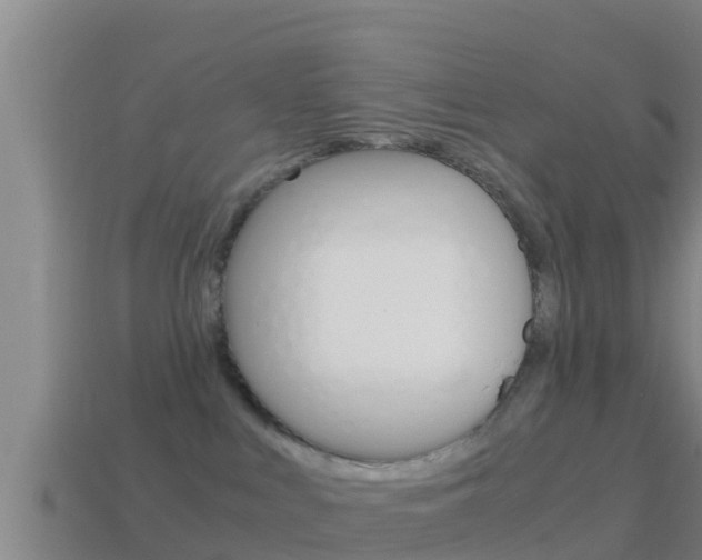 X0000114620043200910201011