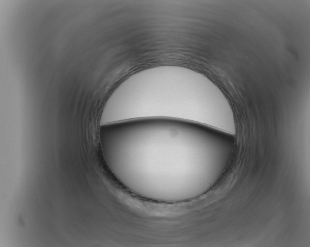 X0000114620044200910201011