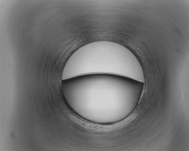 X0000114620048200910201010