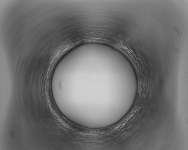 X0000114620049200910201010