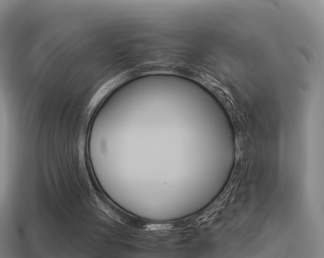 X0000114620051200910201010