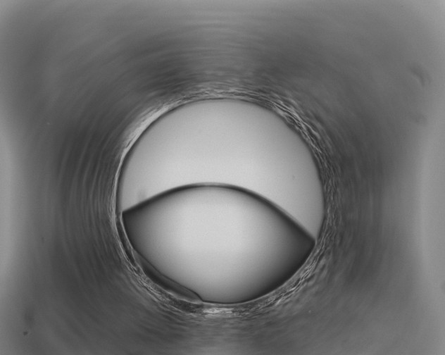 X0000114620052200910201010
