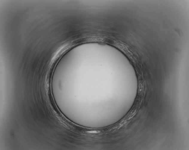 X0000114620053200910201010