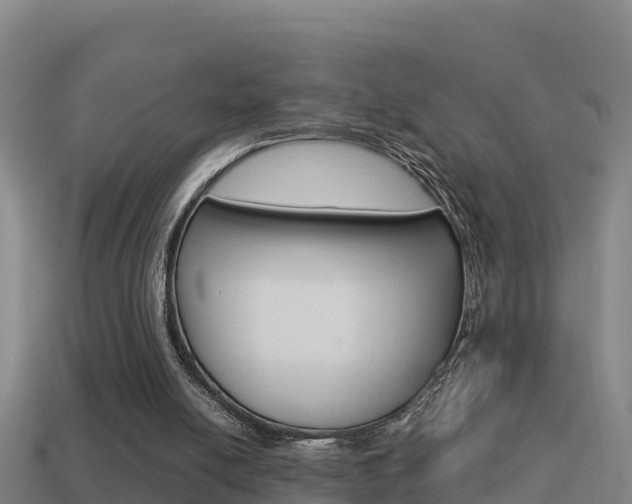 X0000114620054200910201010