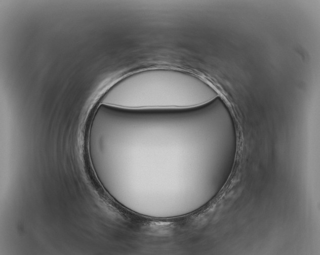 X0000114620055200910201010