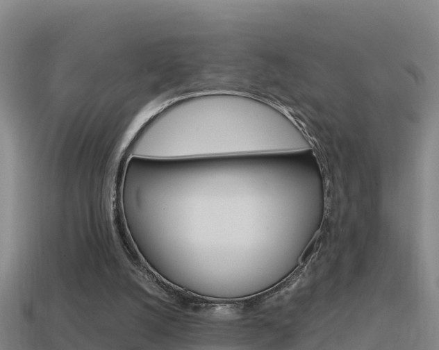 X0000114620056200910201010