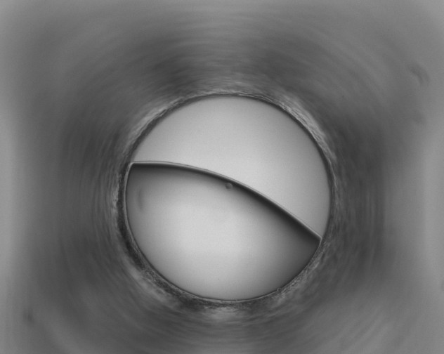 X0000114620058200910201010