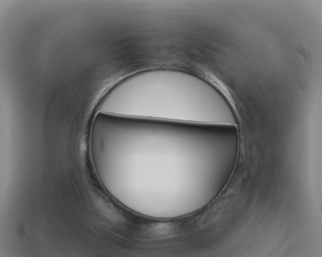 X0000114620059200910201010