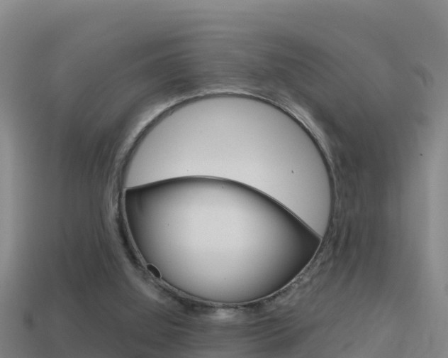X0000114620060200910201010
