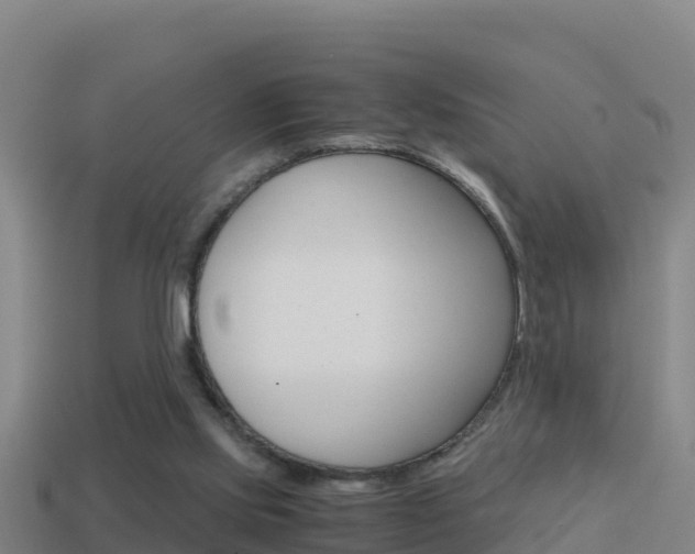 X0000114620061200910201010