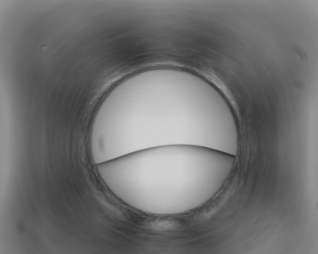 X0000114620063200910201010