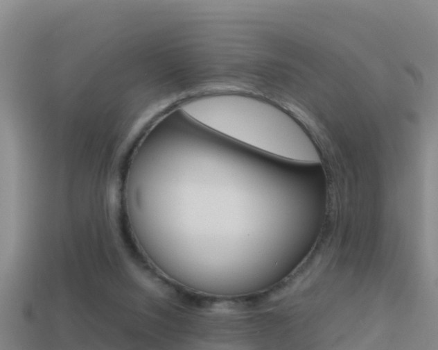 X0000114620064200910201010