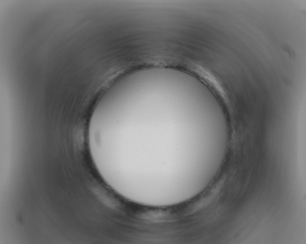 X0000114620065200910201010