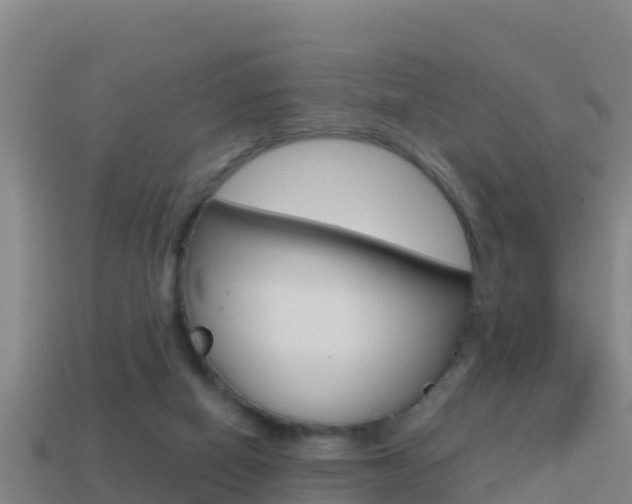 X0000114620066200910201010