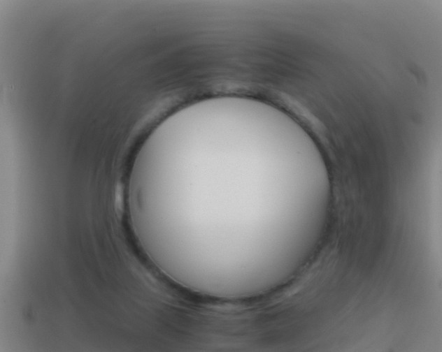 X0000114620067200910201010