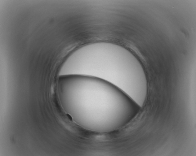 X0000114620068200910201010
