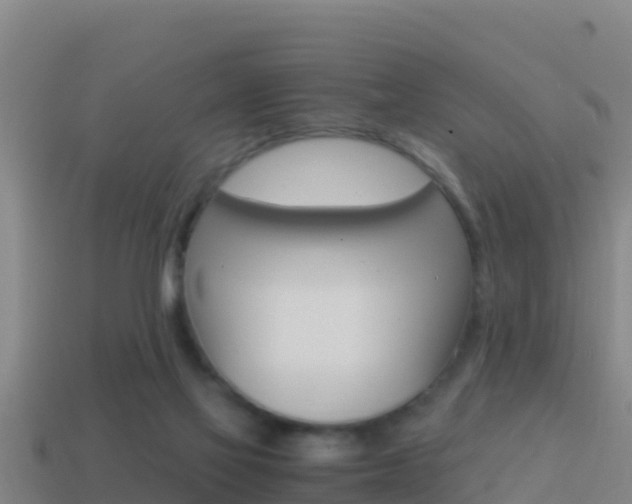 X0000114620069200910201010