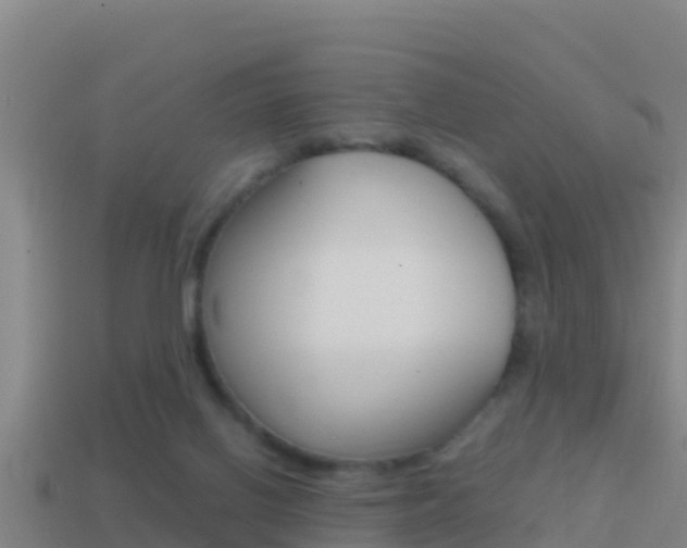 X0000114620070200910201010