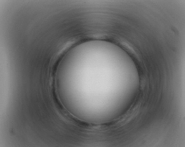 X0000114620072200910201010