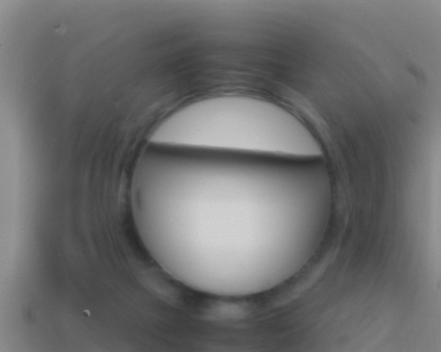 X0000114620073200910201010