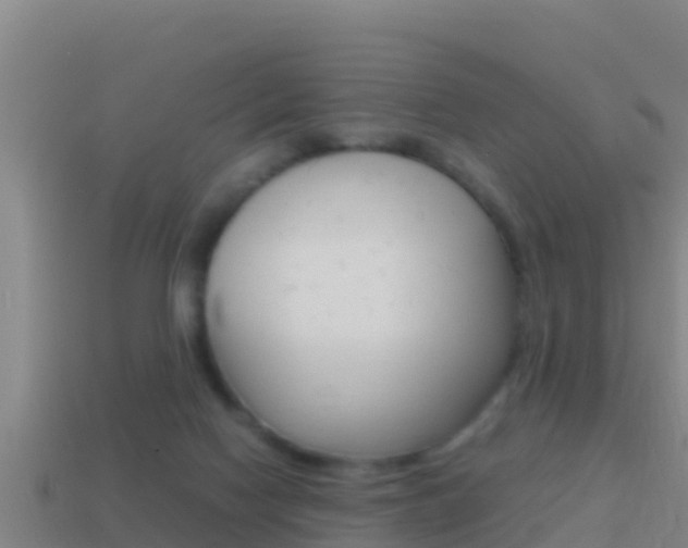 X0000114620074200910201010