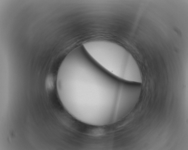 X0000114620075200910201010