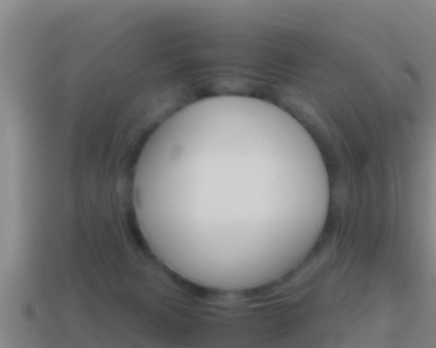 X0000114620079200910201010