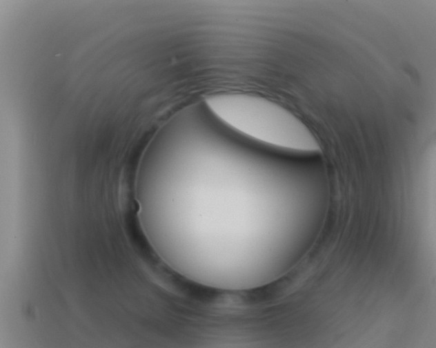 X0000114620080200910201010