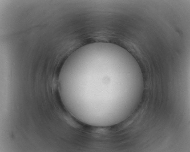 X0000114620081200910201010