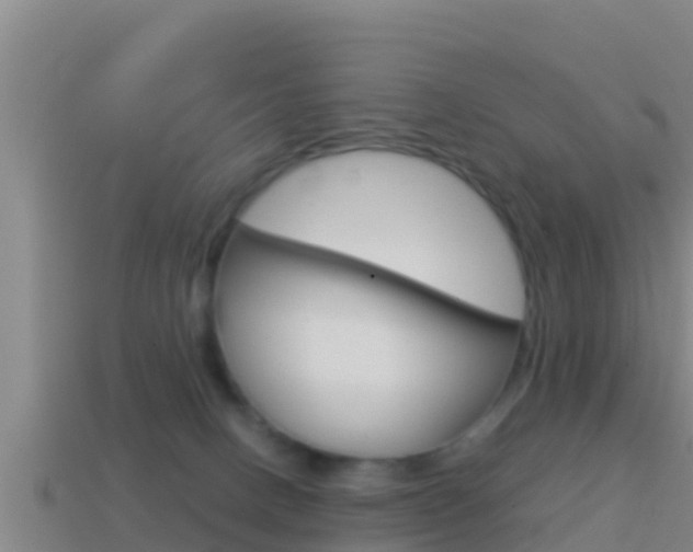 X0000114620082200910201010