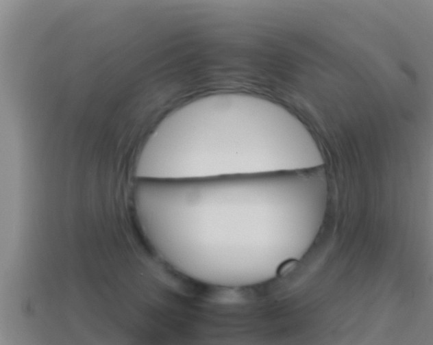 X0000114620083200910201010