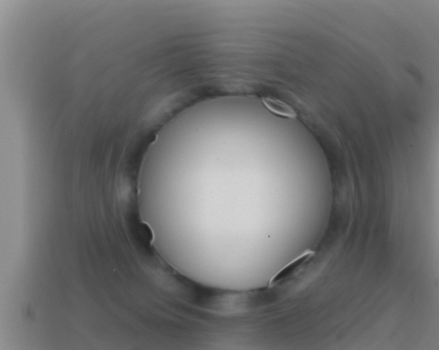X0000114620084200910201010