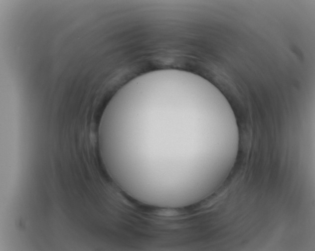 X0000114620085200910201010