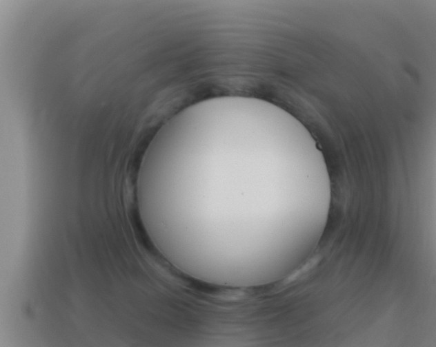 X0000114620086200910201010