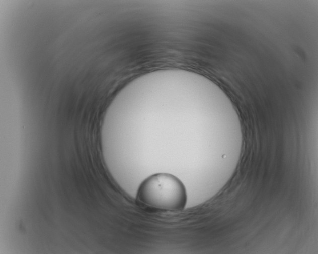 X0000114620088200910201010
