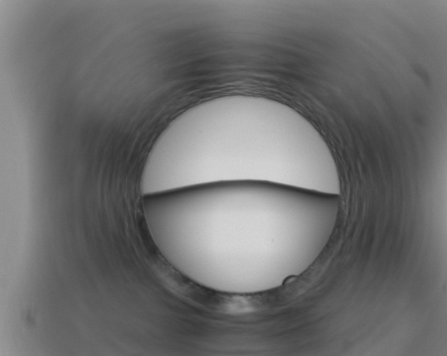 X0000114620091200910201010