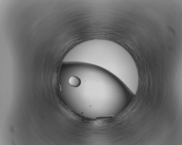 X0000114620092200910201010