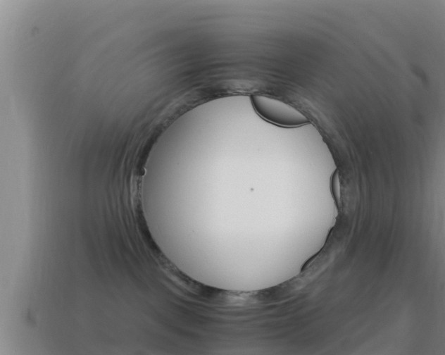 X0000114620093200910201010
