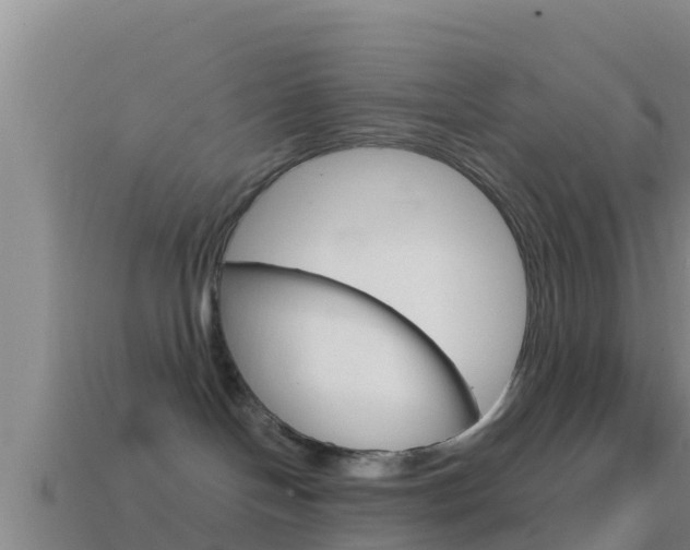 X0000114620094200910201010