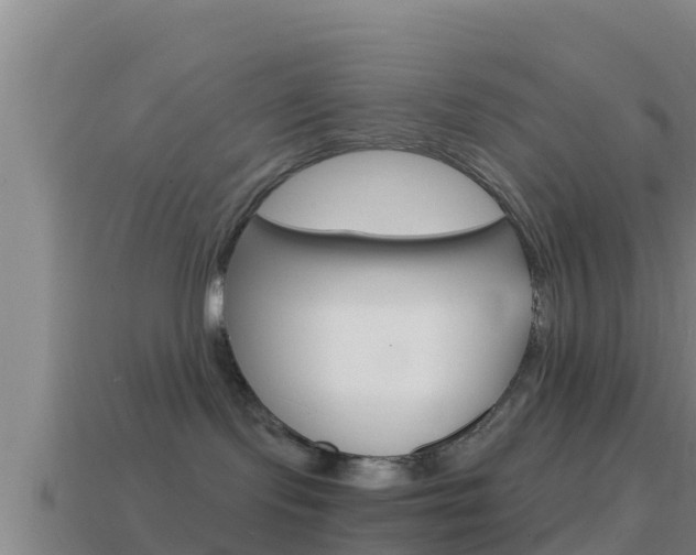 X0000114620095200910201010