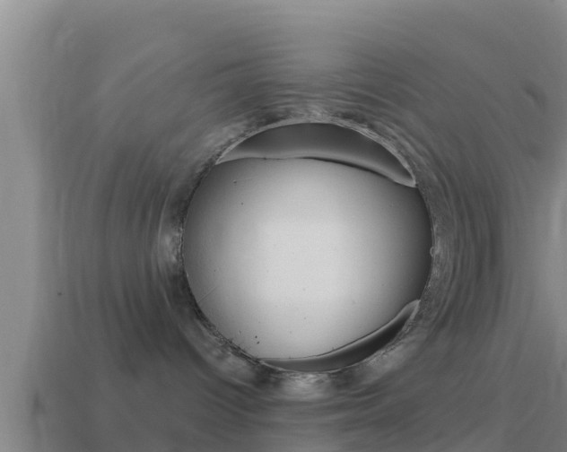 X0000114620096200910201010