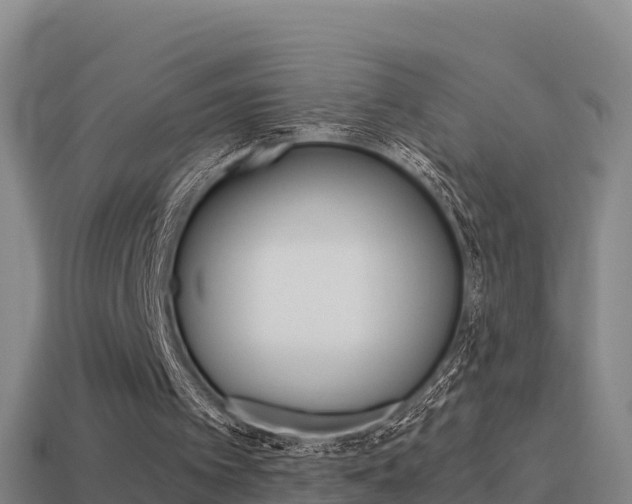 X0000114620097200910201010