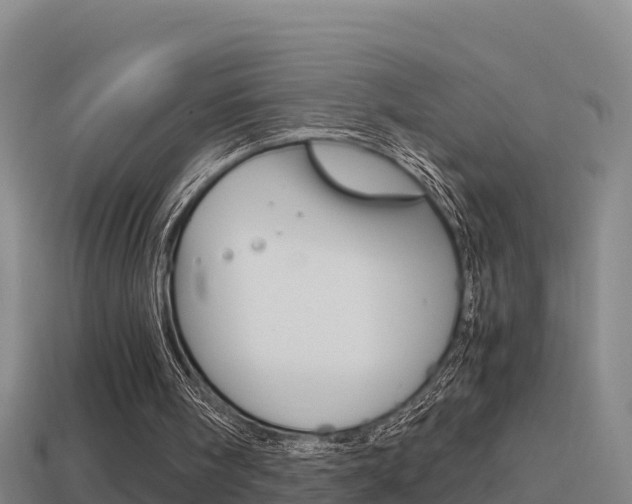 X0000114620098200910201010