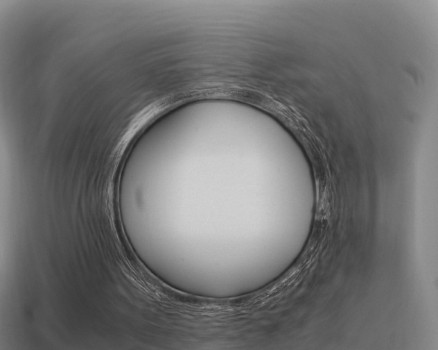 X0000114620099200910201010